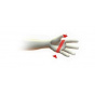 Unlined Black Peccary Gloves - Traclet