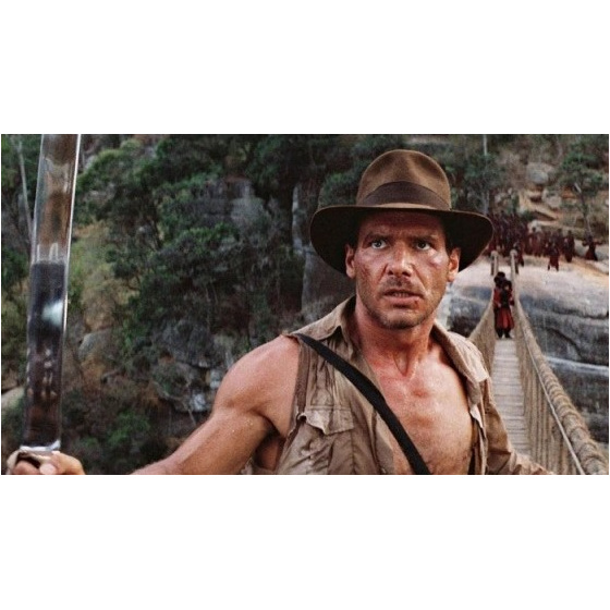 Chapeau Indiana Jones Marron Sous Licences - Feutre Poil