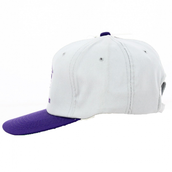 Casquette Strapback Northwestern Grise - Traclet