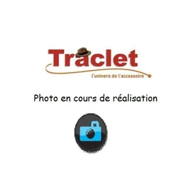 Galons manches Gendarme