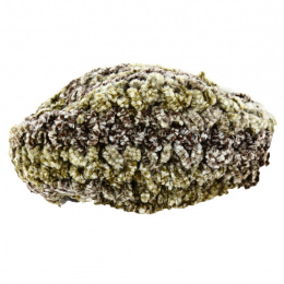 Green Chenille Acrylic Beret - Traclet