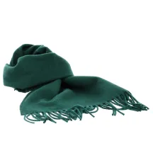 Echarpe laine vert- Traclet
