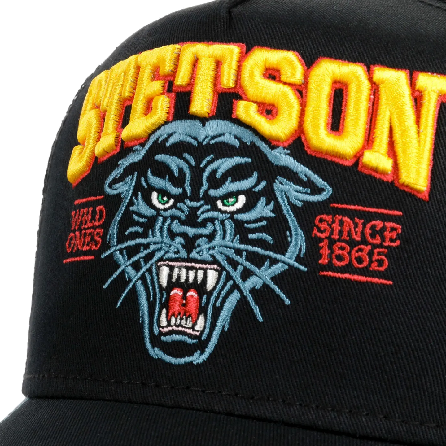 Wild Ones Trucker Baseball Cap - Stetson Reference: 10165 | Traclet Hat Shop
