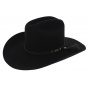 Western hat Serpentine - Statesman hats