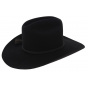 Western hat Serpentine - Statesman hats