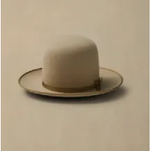 Chapeau Campdraft Feutre Poil beige - Akubra