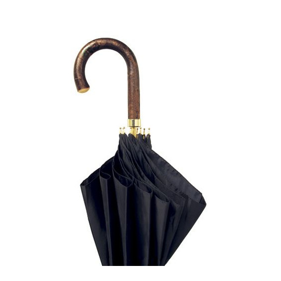 Sierra Umbrella