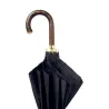 Sierra Umbrella-Ref24187