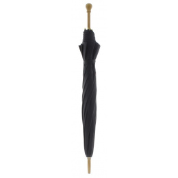 Parapluie de Berger noir