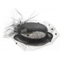 Babette black