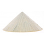 Chinese hat