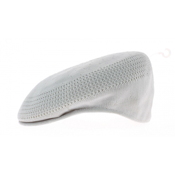 tropic 504 ventair gris claire