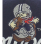 Cowboys NFL CAP