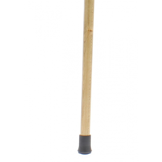 Dr. House's Cane Dr. House's Cane
