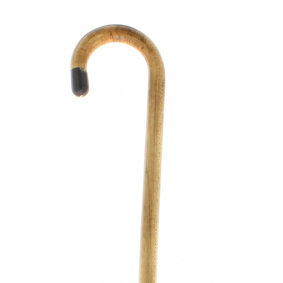 Dr. House's Cane Dr. House's Cane
