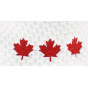 Le Drapo Canada Hat