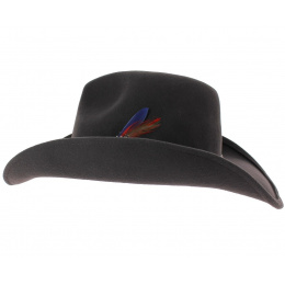 Chapeau Roy marron Stetson