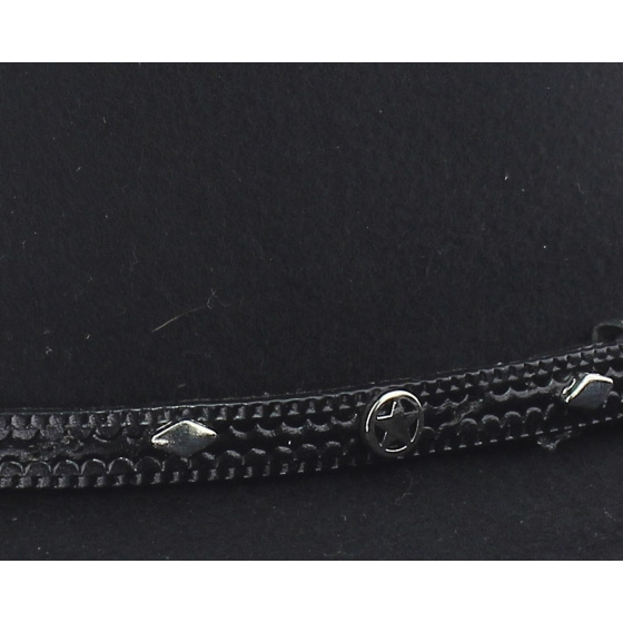 Chapeau Western Thunderbird