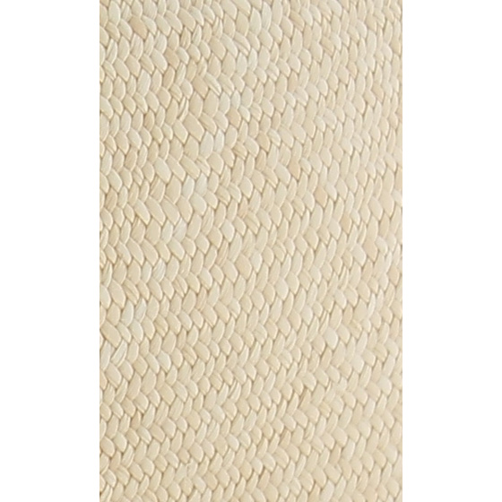 Hat - Panama - Montecristi - Traclet