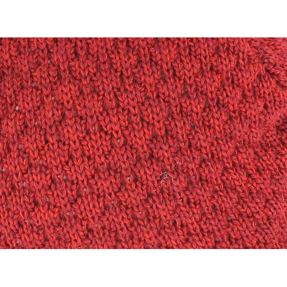 Le Foudroyant Beanie