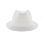 Arlington Trilby Hat 