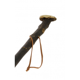 Walking Stick