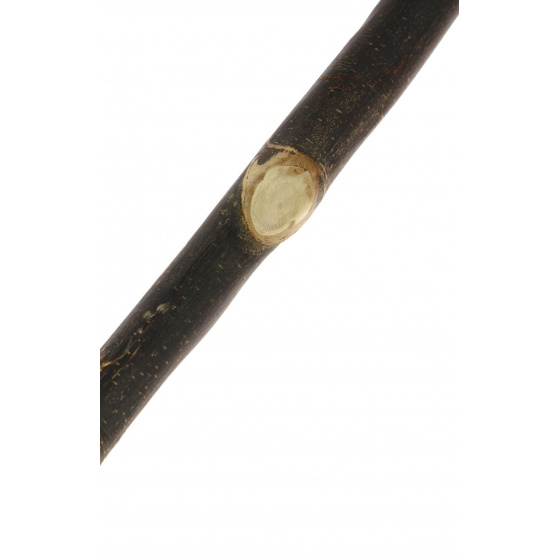 Bâton De Marche Bâton De Marche