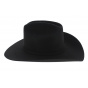 Phoenix Wool Felt Hat - Bullhide