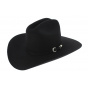 Phoenix Wool Felt Hat - Bullhide