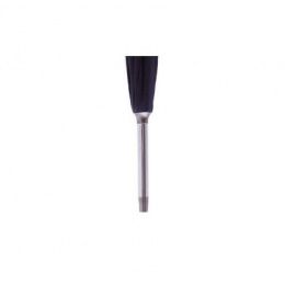 Cane umbrella