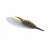 plume à chapeau Jaune - plume Reference : 2161 | Chapellerie Traclet