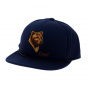 Flat visor cap The Wilderness Blue - Coal