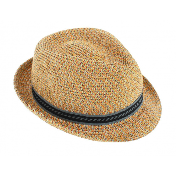 Chapeau Trilby / Prokpie Mannes Multicolore - Bailey