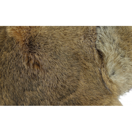 Chapka lapin Syberia