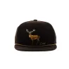 Casquette Stag Visiere Plate - The Wilderness - Coal- Traclet- Marron Chocolat Reference : 7432 | Chapellerie Traclet