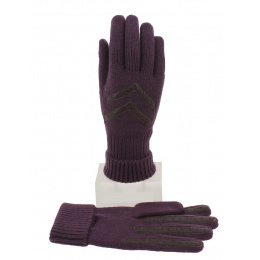 Women's Acrylic Violet & Brown Gloves - Isotoner