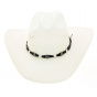 Bullhide hat Justin Moore Small Town USA