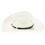 Bullhide Justin Moore Small Town USA Hat