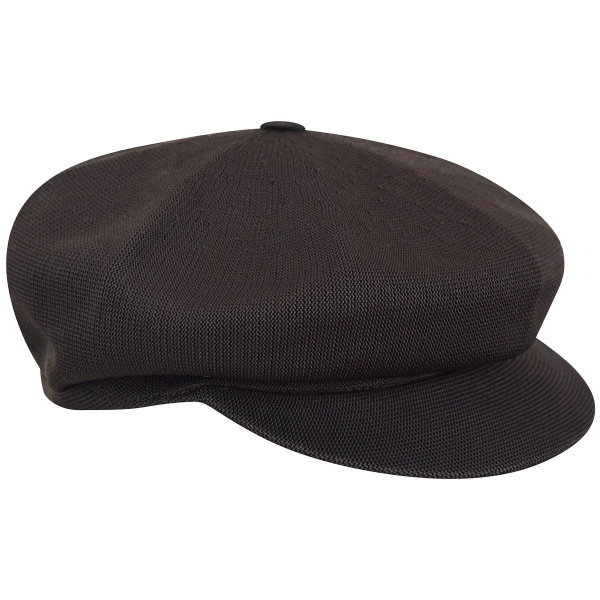 hudson cap