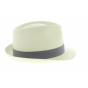 Trilby panama hat