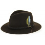 Stetson Newark Brown Hat