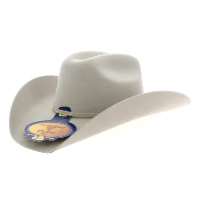 Chapeau Silvertone Beige Western - Country