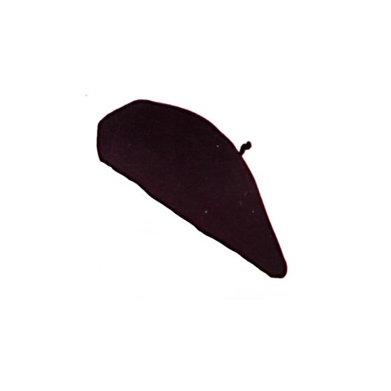 Pack 25 Advertising Berets