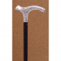 Silver cane