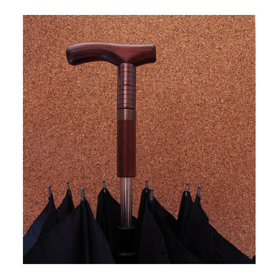 Umbrella cane