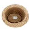 Chapeau Porkpie Moha Paille Naturelle - Traclet Reference : 12164 | Chapellerie Traclet