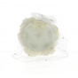 White Flowers Ceremonial Hair Accessory