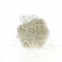 White Flowers Ceremonial Hair Accessory