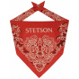 Fancy Cotton Bandana - Stetson
