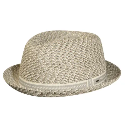 Mannes Beige & Taupe Hat - Bailey Reference: 14636| Traclet Hat Shop